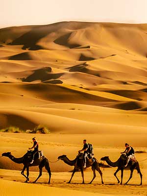 desert-5074739